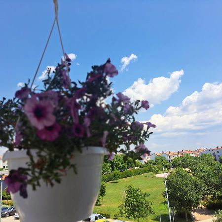 Battistella'S Near The Sea Apartment Rovinj Luaran gambar